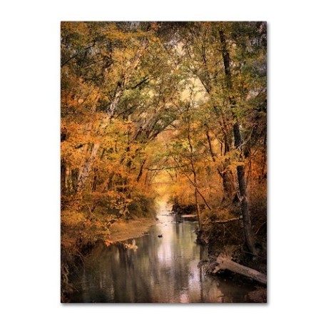 Jai Johnson 'Autumn Riches 2' Canvas Art,18x24